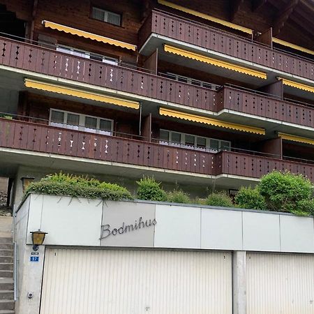 Apartmán Luxury, New - Amazing Views Grindelwald Eiger Jungfrau Moench Exteriér fotografie