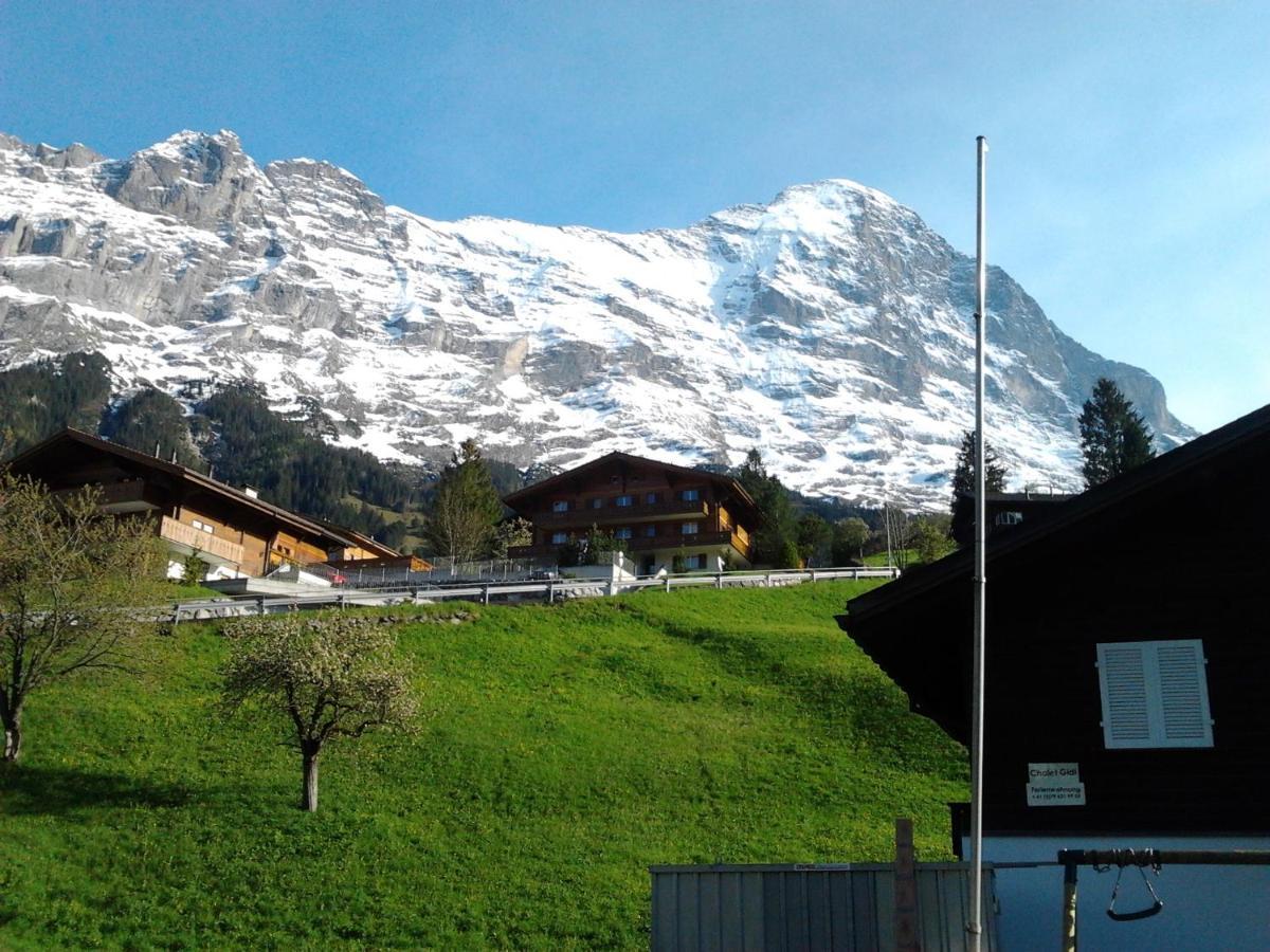 Apartmán Luxury, New - Amazing Views Grindelwald Eiger Jungfrau Moench Exteriér fotografie