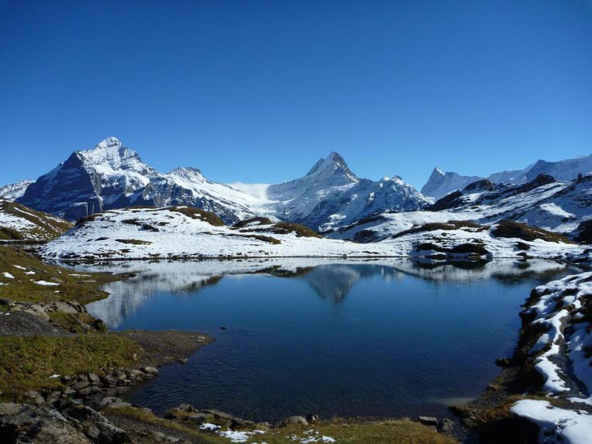 Apartmán Luxury, New - Amazing Views Grindelwald Eiger Jungfrau Moench Exteriér fotografie